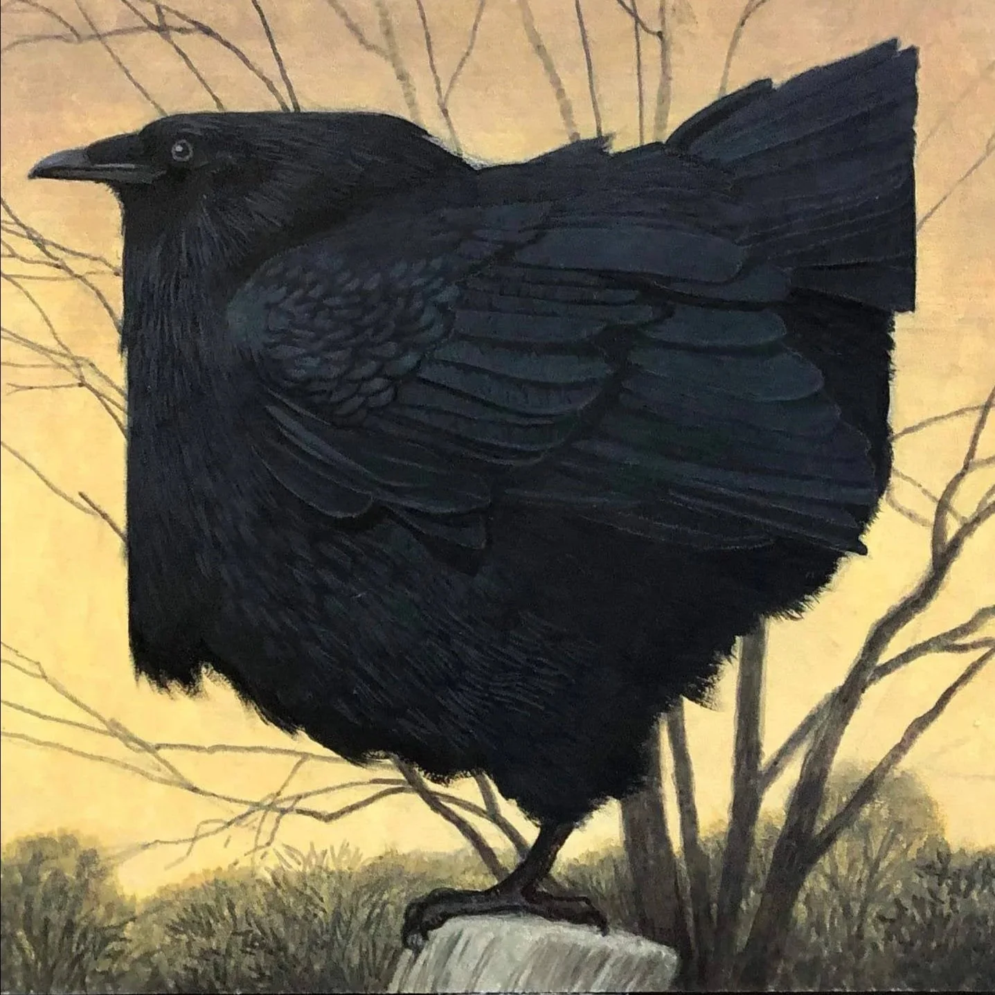Ohio Crow — Giclee42